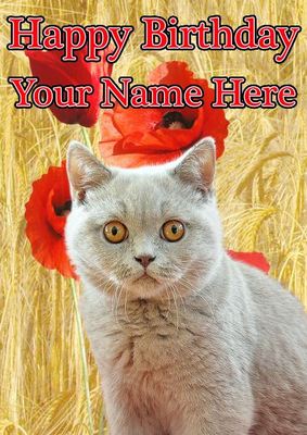 Cat Moon Space Happy Birthday Card - Funny Animal - Premium Greeting Card Envelope - Personalised Cat Card - Sister Daughter Friend Mom Dad - View #4