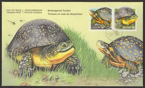 Canada #3179a-b, Endangered Turtles, Official First Day Cover, FDC 2019