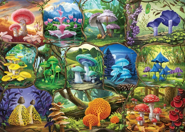 Ravensburger Beautiful Mushrooms 1000 piece fantasy jigsaw puzzle