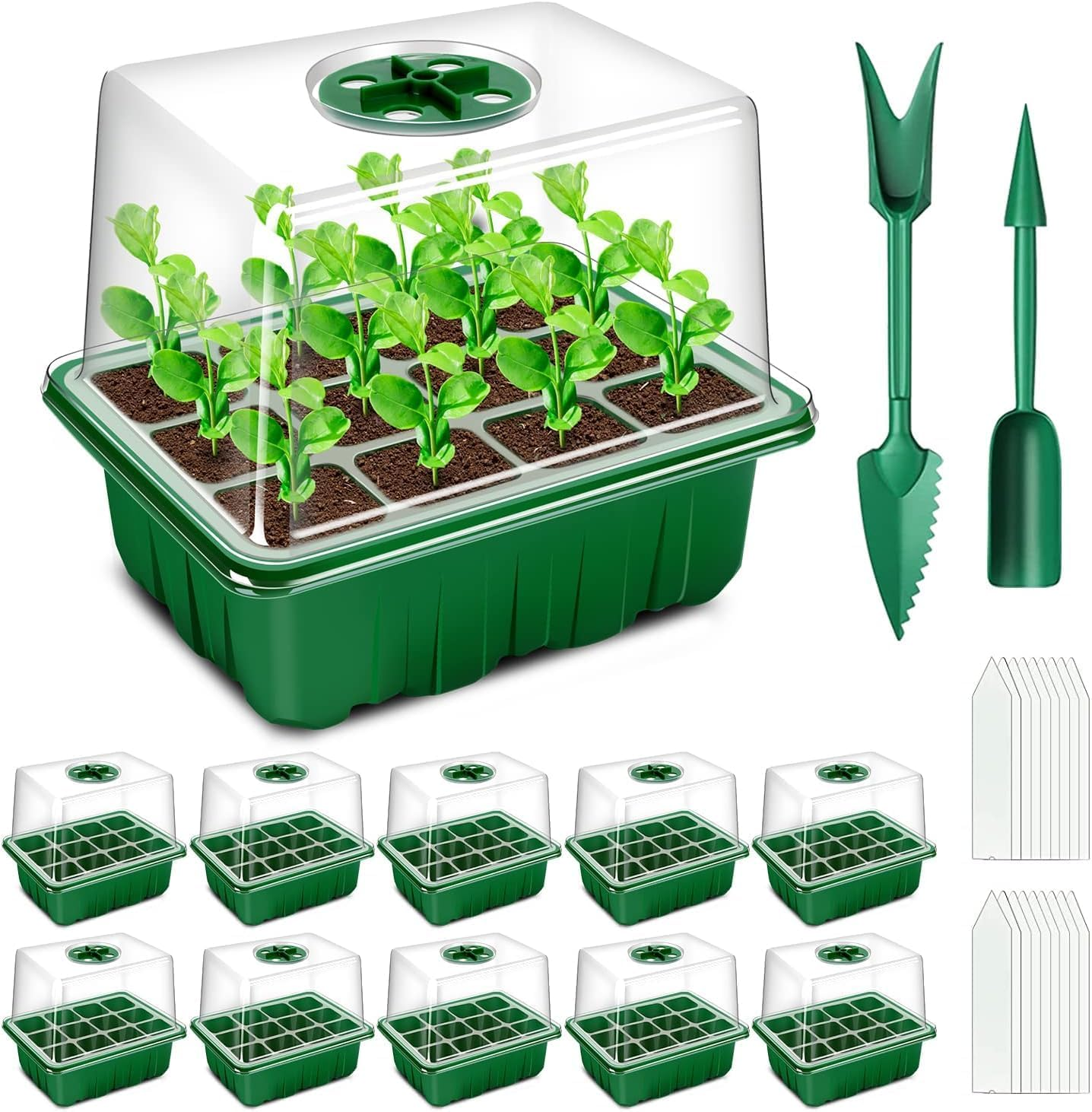 Seed Trays, 10 Pack 120 Cells Propagator with Heightened Lids, Growing Seedling
