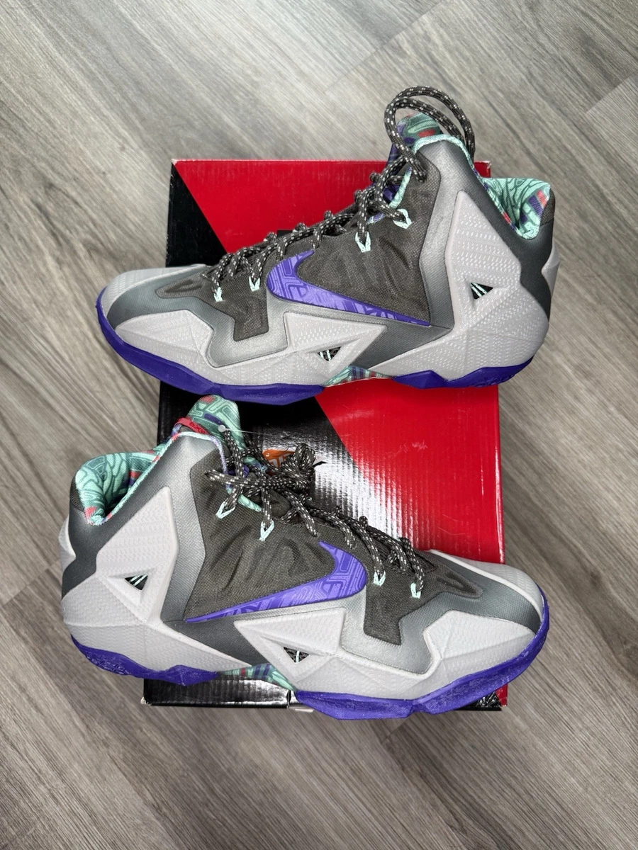 Nike Lebron 11 Xdr Terracotta Warrior for Sale | Authenticity