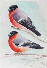 Gimpel Original Wasserfarben Malerei, Vogel Aquarell Gemälde, 13x18 cm