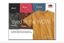 Fruit of the Loom Mens Cotton T-Shirt Garment-Dyed Tee