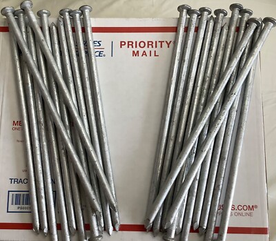 24 - 12  GALVANIZED NAILS / LANDSCAPE SPIKES 3/8  Thick FREE PRIORITY Shipping