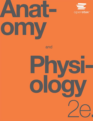 Anatomy and Physiology 2E by Openstax Paperback-Brand New , Pack of 1 and 2