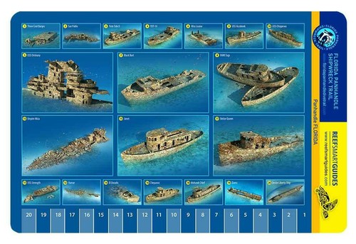 Florida Panhandle Shipwreck Trail Reef Smart Waterproof Dive Card - Imagen 2 de 2