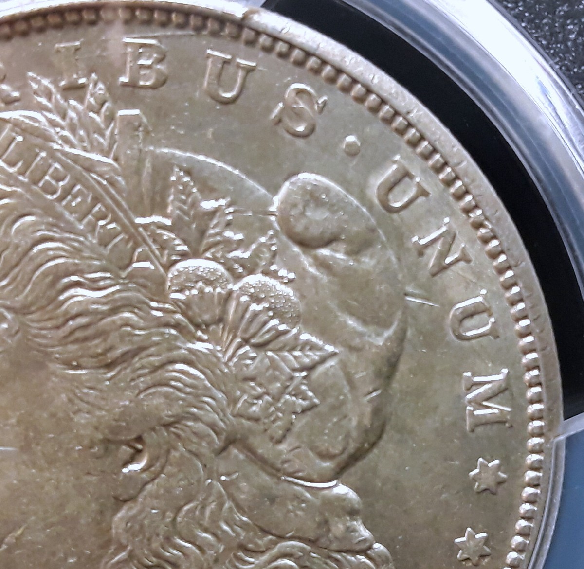 1921-S Morgan Silver Dollar - PCGS Cleaned-Unc. Detail Vam 1B-5