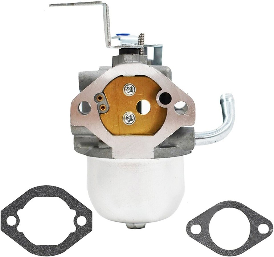Il Kit Di Riparazione Del Carburatore Sostituisce 0A4600ESRV For - Foto 8