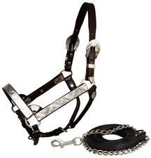 New Brown Leather 5 Way Adj Silver Show Halter with Matching Lead Horse Size 101
