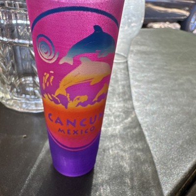 Cancun Mexico Souvenir Shot Glass Pink Purple Gradient Dolphin 2 oz