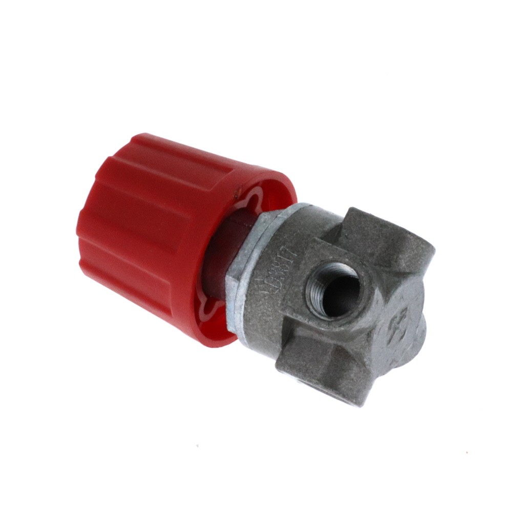 Regulator D55166 D55166