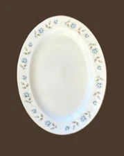 International Silver Co Elegant Lady Fine China Oval Serving Platter Japan