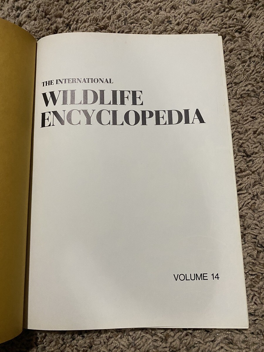 希少　洋書　1942年　古書　Animal Life Of The 希少 洋書 1942年 古書 Animal Life Of The 希少 洋書 1942年