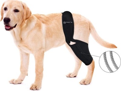 XL Dog Knee Brace ACL Support Patella Arthritis Side Stabilizers