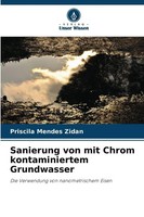 Sanierung Von Mit Chrom Kontaminiertem Grundwasser | Priscila Mendes Zidan