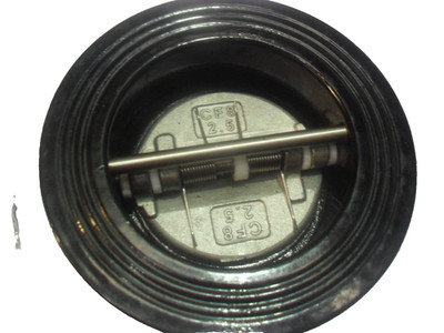 Kran FM463 Wafer Rückschlagventil 400 DN65 