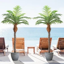 7ft Tall Artificial Phoenix Palm Tree for Outdoor Indoor Decor, Large Faux Co...
