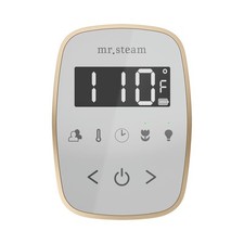 Mr Steam TempoFlex Steam Shower Control and Steamhead in White Brushed Bronze