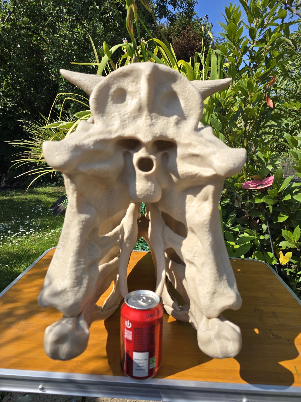 Life-size CARNOTAURUS skull Replica, Fossil