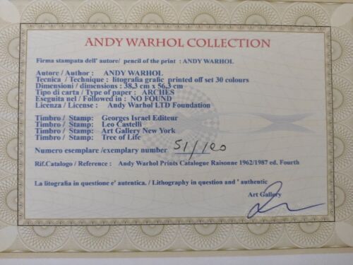 Litografía firmada por Andy Warhol - Albert Einstein - Certificado Leo Castelli - Imagen 3 de 5