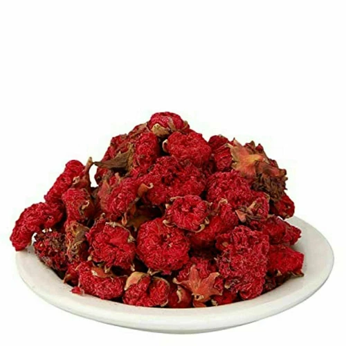 Anaar Phool Gule Anar Gulnar Punica Granatum Pomegranate Flower 50gm  pack of 1