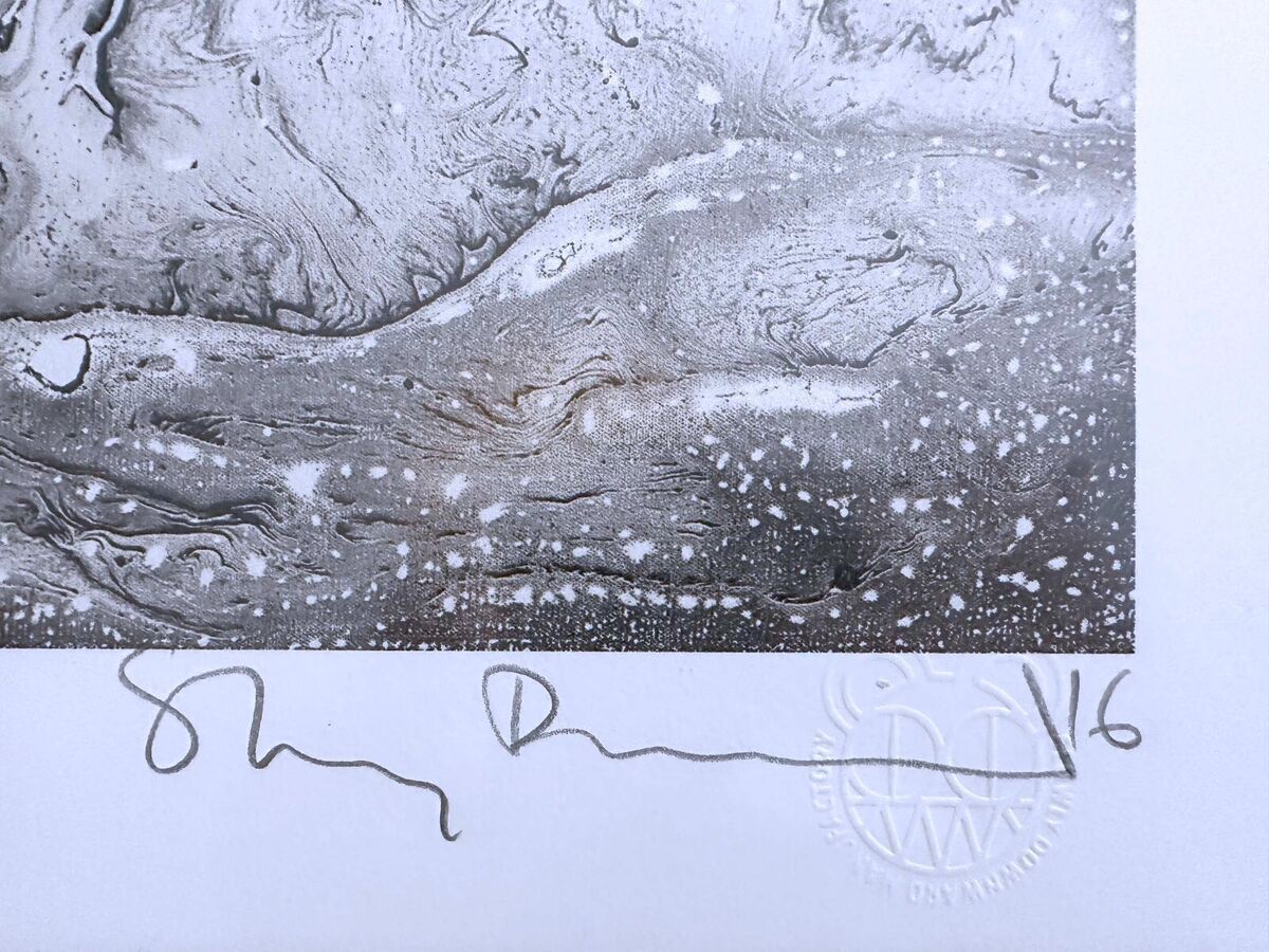 Stanley Donwood WRAITH screen print Radiohead art A Moon Shaped Pool Thom  Yorke