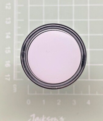 WEISS - SCL LED BLINKER (22mm) Model: PL22-24W - AC/DC 24V 20mA