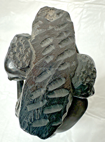 Albero della vita africano Makonde scultura in legno scuro 8" - Foto 9 di 14