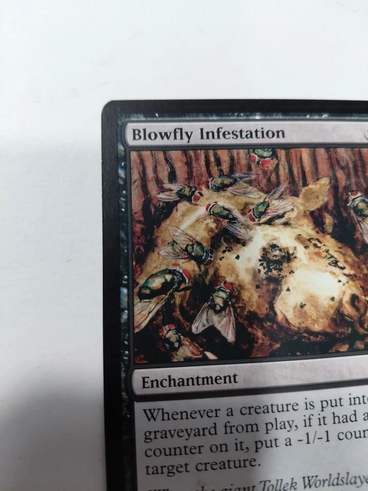 Blowfly Infestation Shadowmoor MtG NM - Image 4 of 4