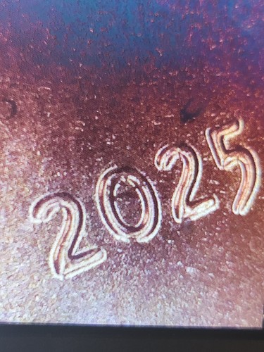 💎2025P Lincoln Shield Cent Penny DDO & DDR - Free Shipping On Orders Over $20💎 - Bild 7 von 8