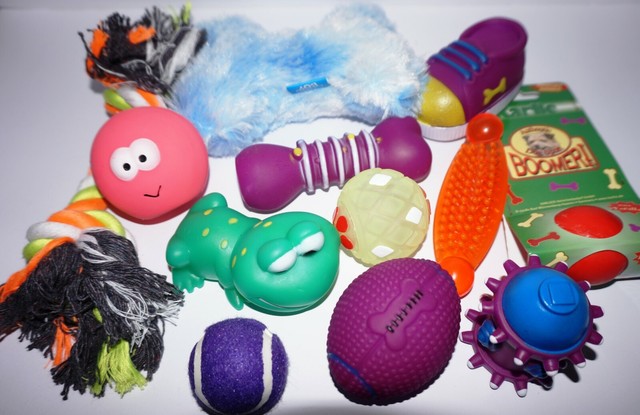 bulk buy dog toys