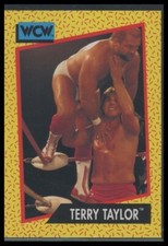 1991 Impel WCW #70 Terry Taylor w/ Arn Anderson
