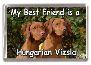 Hungarian Vizsla Dog Fridge Magnet "My Best Friend is a ...... " by Starprint