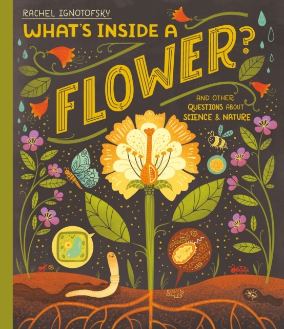 What's Inside a Flower? by Rachel Ignotofsky (Hardback Book)