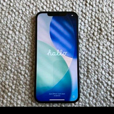 Apple iPhone 12 Pro Max 256 GB Blau iOS27 GUTER ZUSTAND