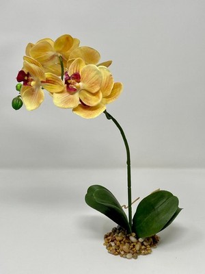 Home Decor 10-14'' Peach Orange PHALAENOPSIS ORCHID Soft Silk flower plant, Stone