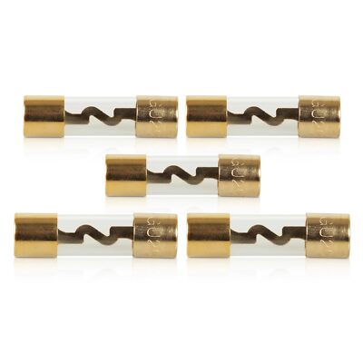 Sinuslive AGU Glassicherungen 5er Pack vergoldet 20A 30A 40A 50A 60A 70A 80A