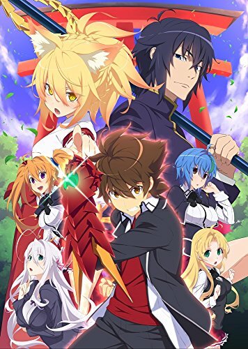 ハイスクールD×D HERO ソフマップ 全巻特典 B2布ポスター Blu-ray/DVD ハイスクールD×D HERO ソフマップ全巻購入特典 描き