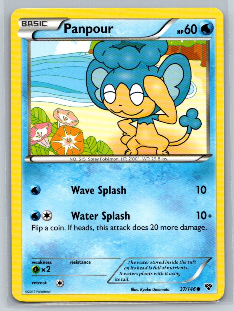 Panpour #37/146 XY Base Set Common - Pokemon Cards E12