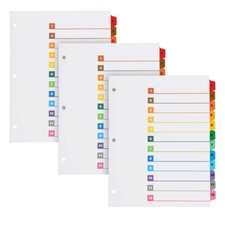 12 Tab Index Dividers, Customizable Table, 3 Ring Binder, Plastic, Multicolor