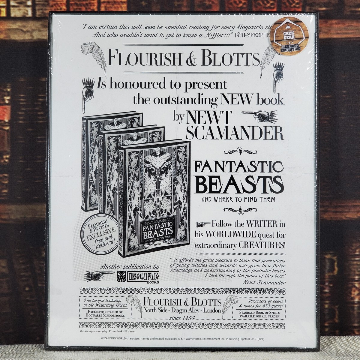 Harry Potter Flourish & Blotts Thin Framed Print - a Geek Gear