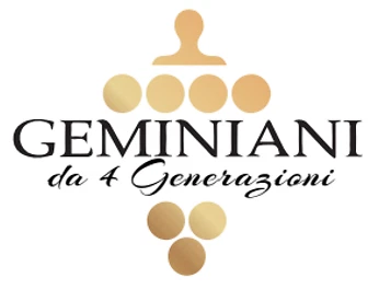 Vino Bianco Passerina Marche IGT 2024 Bag in Box 5 Litri Geminiani - GemiBox - - Foto 5 di 11