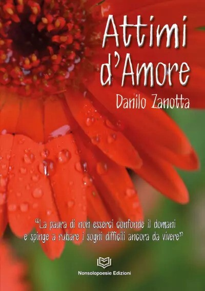 Attimi d’Amore di Danilo Zanotta, 2023, Nonsolopoesie Edizioni
