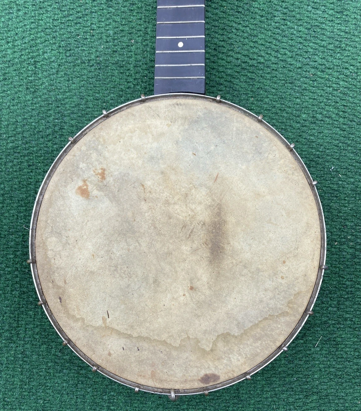 Picture 5 of 12