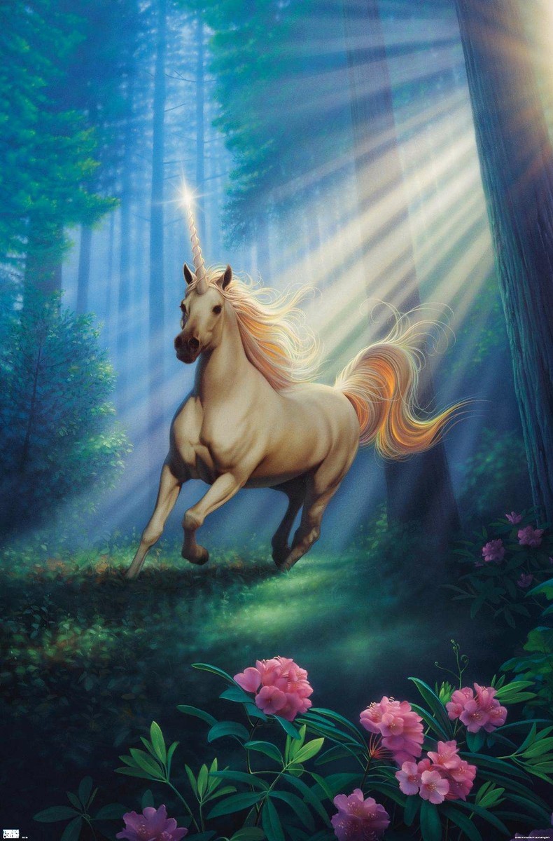Kirk Reinert - Secret Forest Unicorn Poster | eBay