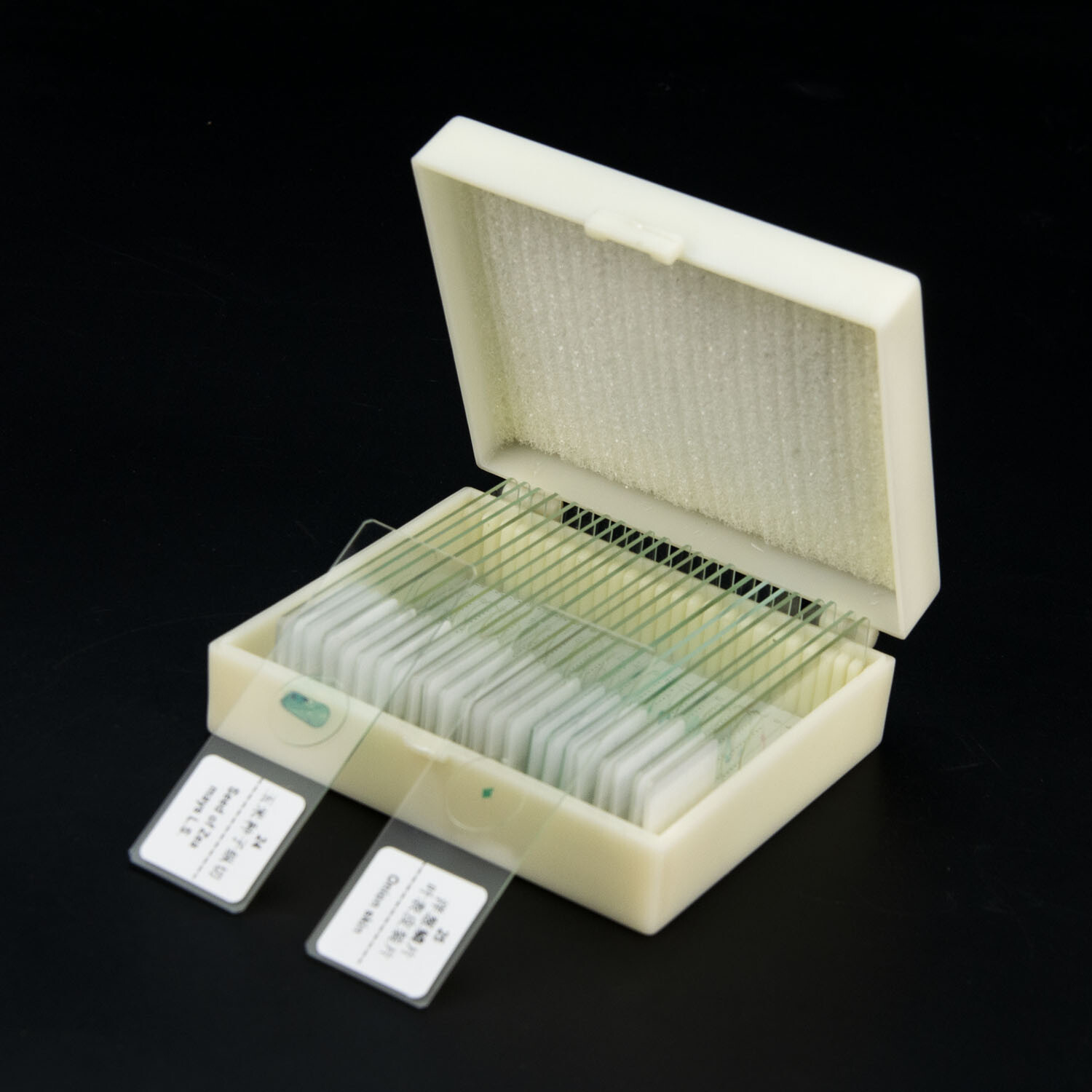 200 Pcs Microscope Slides Prepared In Box For Basic Biological Science Education Microscope Slides For Kids Children Students With Animals Insects Plants Sample Lab Specimens - Foto 2