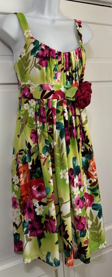 Женское яркое платье-футляр Muse Anthropologie с разноцветным цветочным узором размер 6 - Изображение 4 из 4