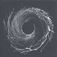 Dawn Of Midi: Dysnomia - - (Lp / D)
