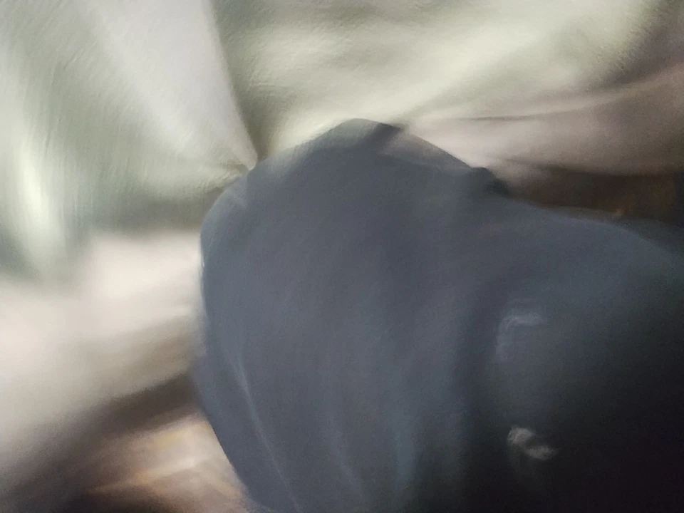 SPD Power Rangers Patrol Cycle 2004 Control Remoto Radio Activado  Foto 4 de 4