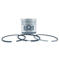 Kolben + Kolbenring-Satz (1,00 Mm-üBergrößE-81,00 Mm): Passend FüR Ruggerini / R